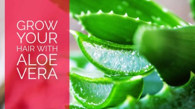 WHAT REALLY WORKS TO MAKE THE HAIR GROW AND STOP BALDING.