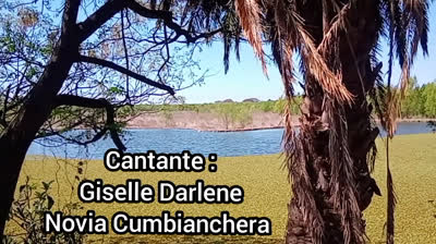 LAGRIMAS DE FELICIDAD